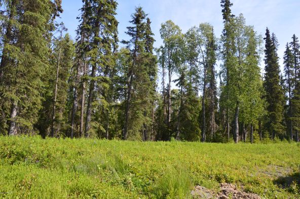 L18 Spruce Haven Street: L18 Spruce Haven Street, Kenai, AK 99611